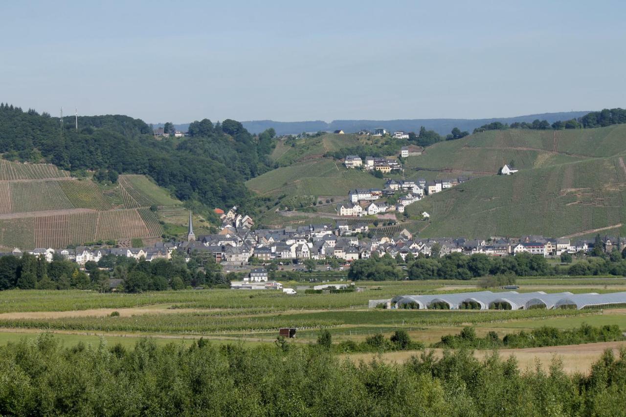 'Ferienhaus Mosel' Mit Kostenfreien Oepnv-Ticket Ирциг Экстерьер фото