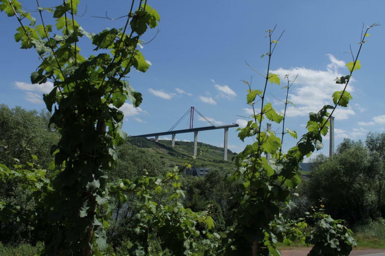 'Ferienhaus Mosel' Mit Kostenfreien Oepnv-Ticket Ирциг Экстерьер фото