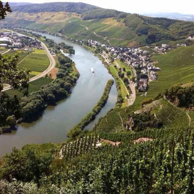'Ferienhaus Mosel' Mit Kostenfreien Oepnv-Ticket Ирциг Экстерьер фото